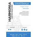 Kawa Gwatemala - Single Origin 100 % arabika, mielona, 250 g