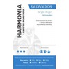Kawa Salwador Single Origin 100% arabika, ziarno 250 g